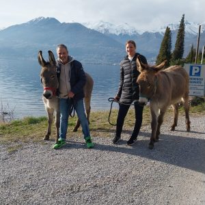 DUE CUORI E UN ASINO