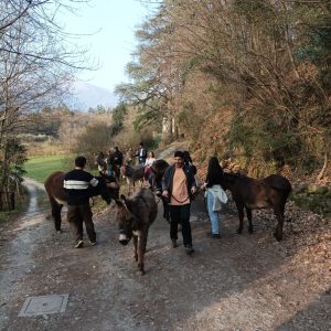 GIRASINANDO IL MONTECCHIO