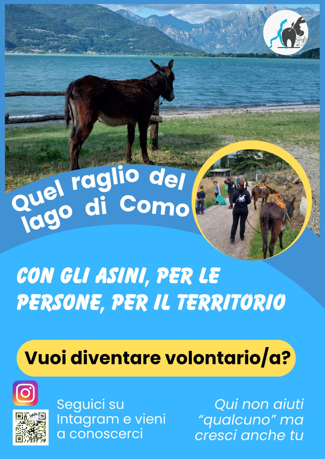 ‼️E se il cambiamento avesse quattro zampe, due orecchie lunghe e una voce inconfondibile?🫏