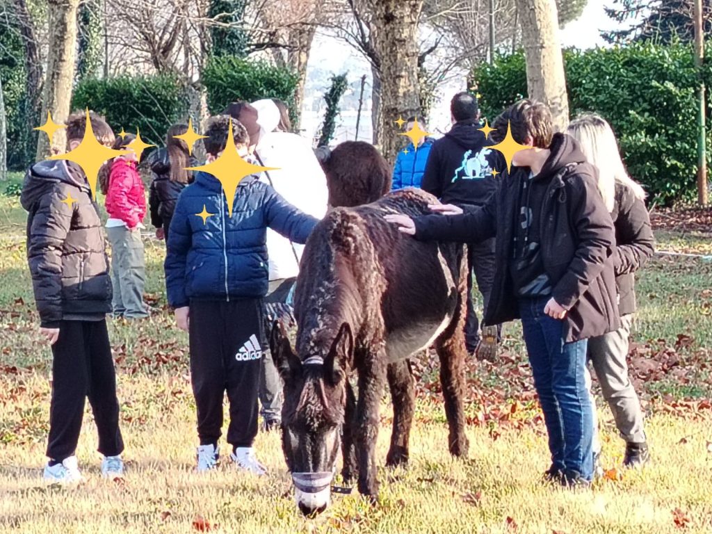 Giornata a favore delle seconde classi secondarie di primo grado dell’Istituto Comprensivo Malgesini a Gravedona ed Uniti (Co)