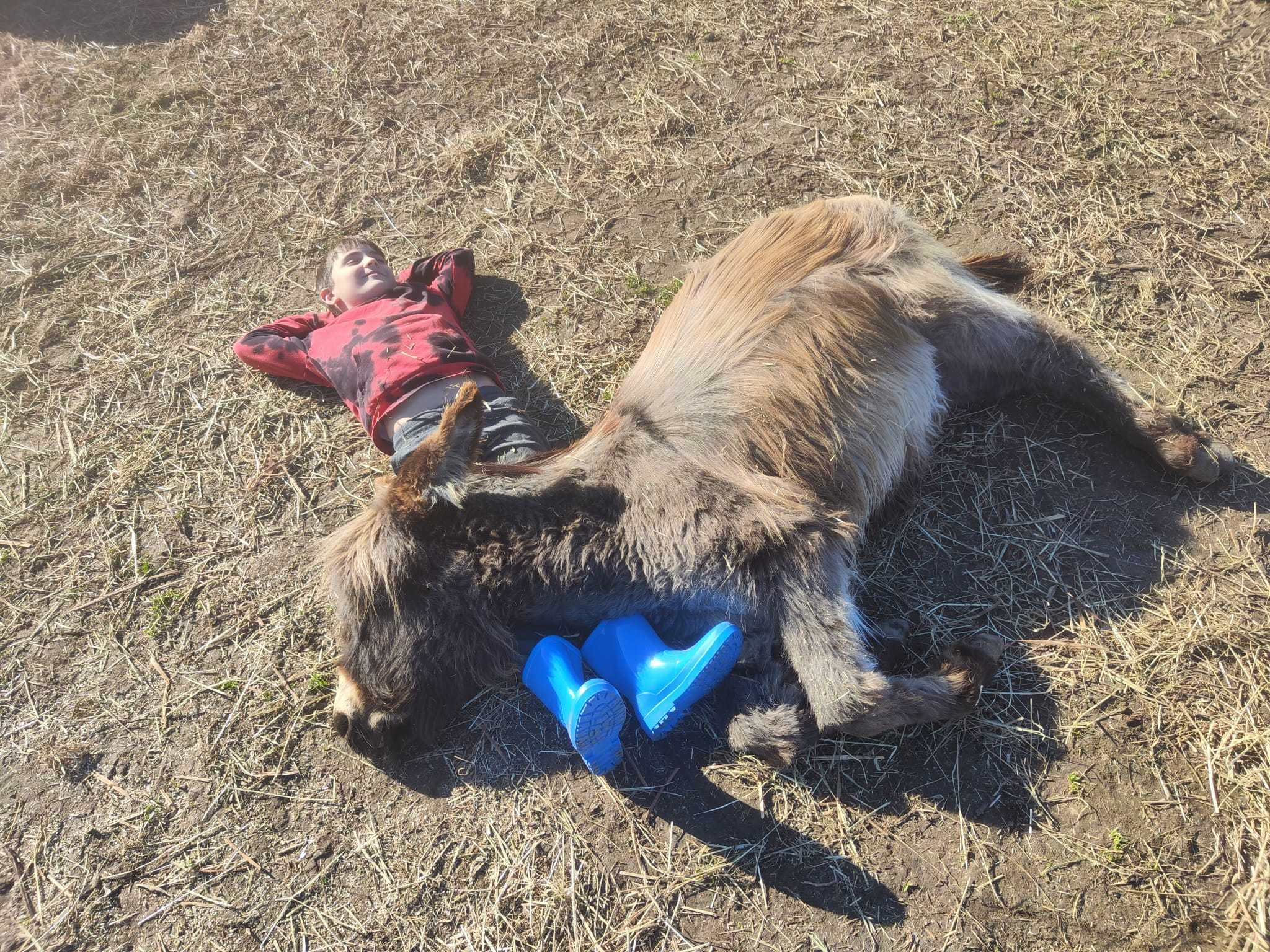 Un riposino speciale