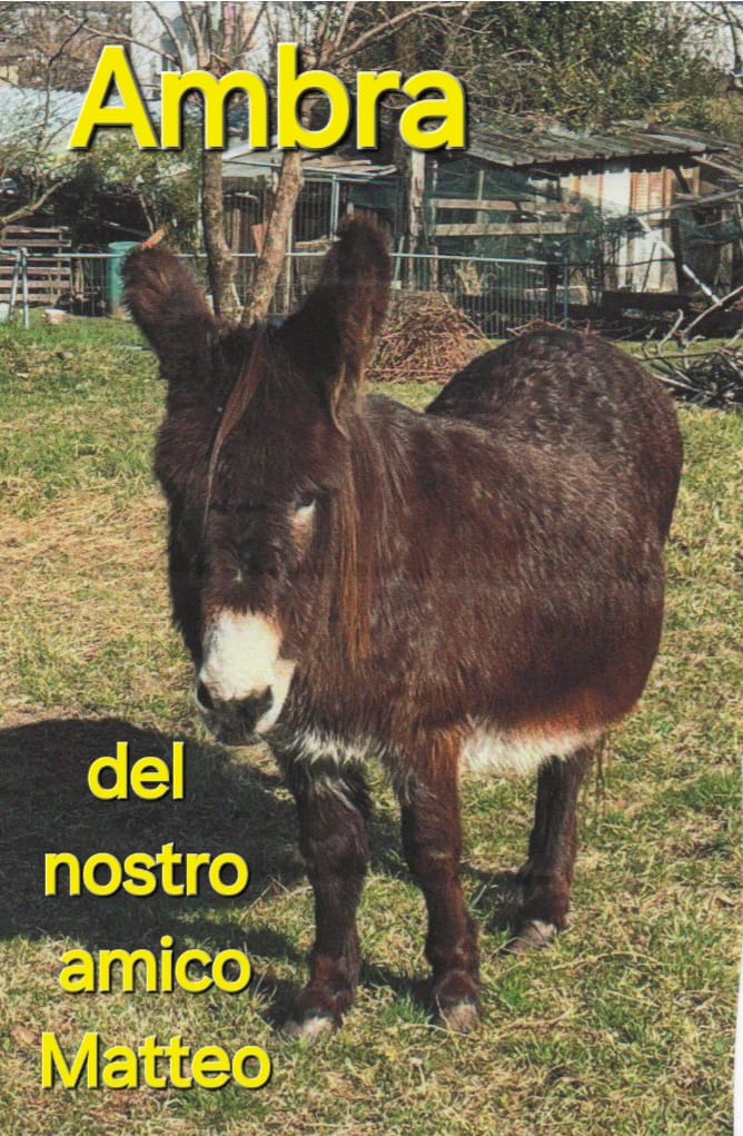 SALUTI SPECIALI DA….